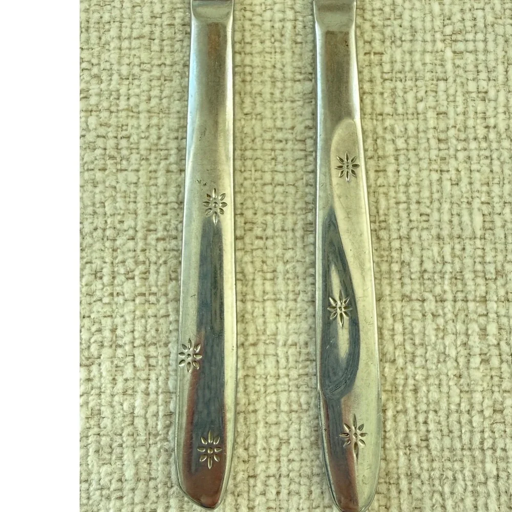 International Stainless Steel AMERICANA STAR Lot of 2 Dinner Knives